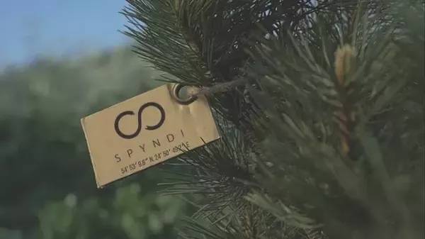 产品设计 产品设计