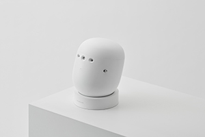 20211221001001.jpg 20211221001001.jpg